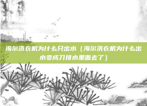 海尔洗衣机为什么只出水（海尔洗衣机为什么出水变成刀排水里面去了）