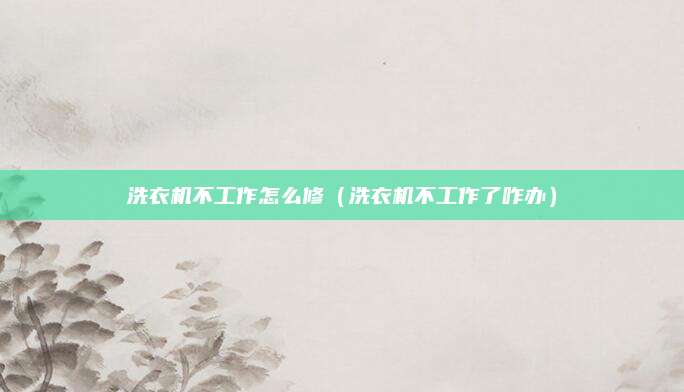 洗衣机不工作怎么修（洗衣机不工作了咋办）