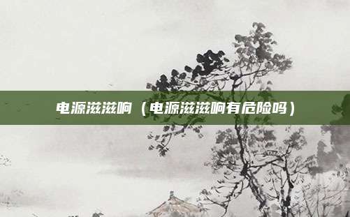 电源滋滋响（电源滋滋响有危险吗）