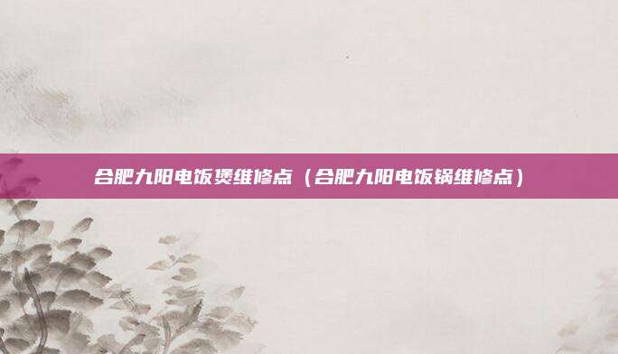 合肥九阳电饭煲维修点(合肥九阳电饭锅维修点)