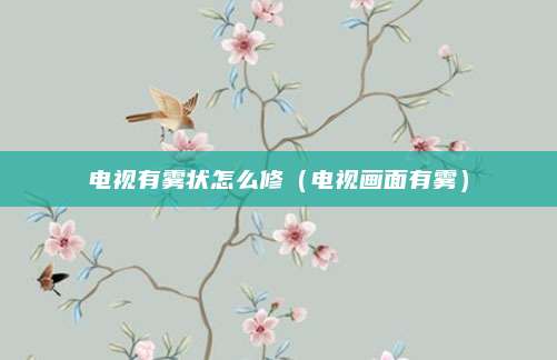电视有雾状怎么修（电视画面有雾）