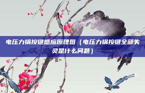 电压力锅按键感应原理图(电压力锅按键全部失灵是什么问题)