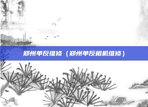 郑州单反维修（郑州单反相机维修）