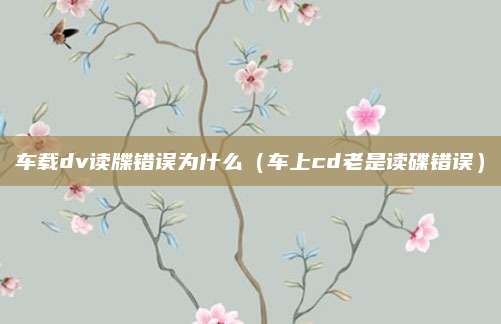车载dv读牒错误为什么(车上cd老是读碟错误)