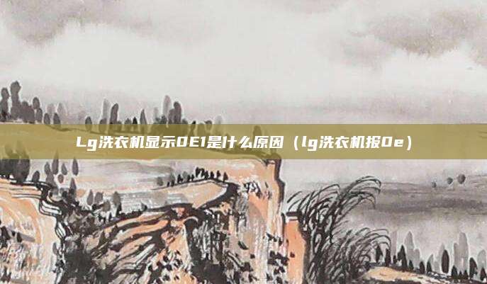 Lg洗衣机显示0E1是什么原因(lg洗衣机报0e)