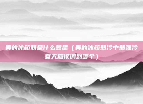 美的冰箱弱是什么意思(美的冰箱弱冷中弱强冷夏天应该调到哪个)