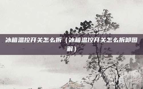 冰箱温控开关怎么拆(冰箱温控开关怎么拆卸图解)