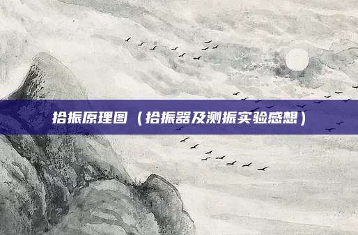 拾振原理图（拾振器及测振实验感想）