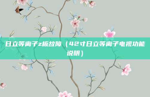日立等离子z板故障(42寸日立等离子电视功能说明)