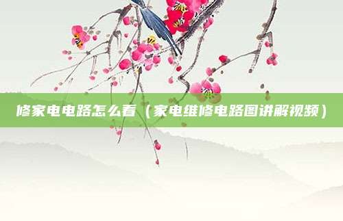 修家电电路怎么看（家电维修电路图讲解视频）