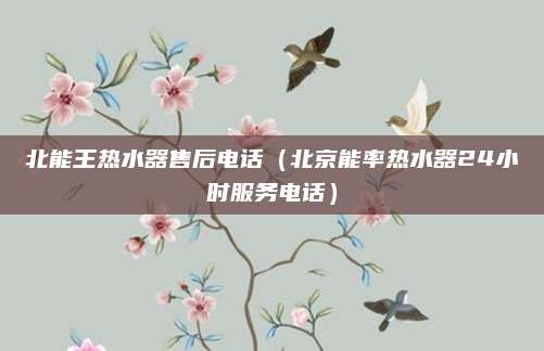 北能王热水器售后电话(北京能率热水器24小时服务电话)