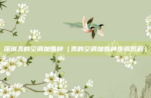 深圳美的空调加雪种(美的空调加雪种步骤图解)