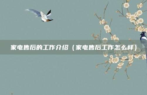 家电售后的工作介绍（家电售后工作怎么样）