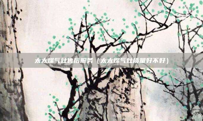 太太煤气灶售后服务（太太煤气灶质量好不好）