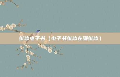 维修电子书(电子书维修在哪维修)