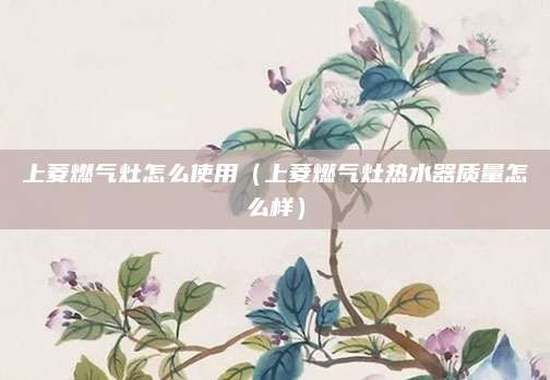 上菱燃气灶怎么使用（上菱燃气灶热水器质量怎么样）