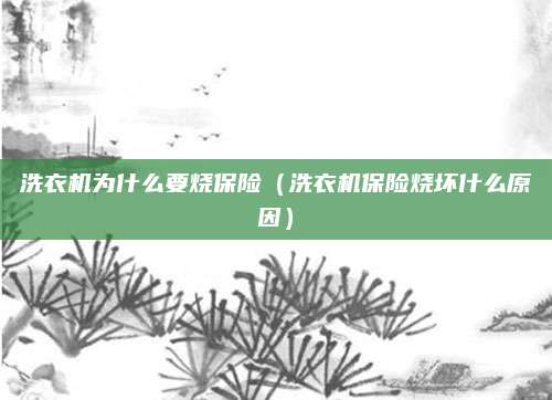 洗衣机为什么要烧保险(洗衣机保险烧坏什么原因)