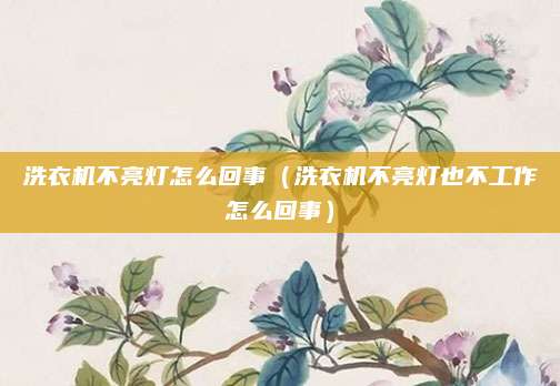 洗衣机不亮灯怎么回事（洗衣机不亮灯也不工作怎么回事）