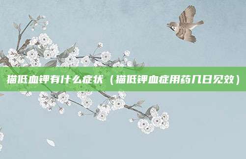 猫低血钾有什么症状(猫低钾血症用药几日见效)