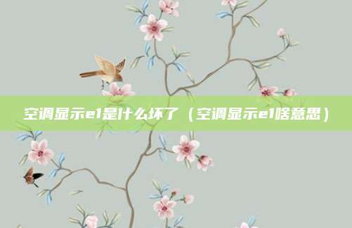 空调显示e1是什么坏了(空调显示e1啥意思)