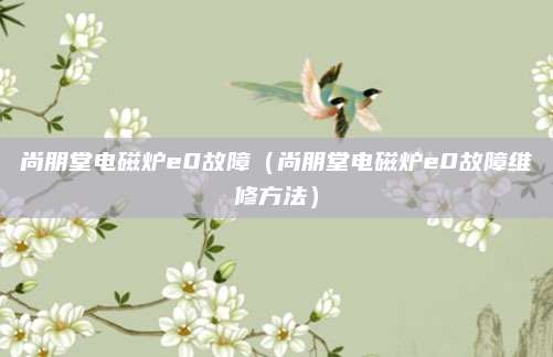 尚朋堂电磁炉e0故障（尚朋堂电磁炉e0故障维修方法）