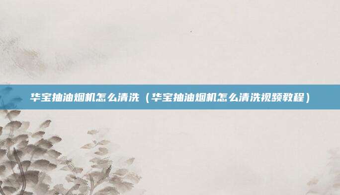华宝抽油烟机怎么清洗(华宝抽油烟机怎么清洗视频教程)
