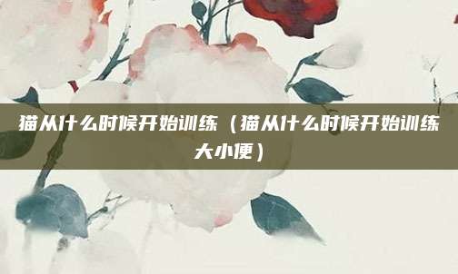 猫从什么时候开始训练（猫从什么时候开始训练大小便）