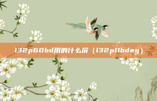 l32p60bd用的什么屏(l32p11bdeg)
