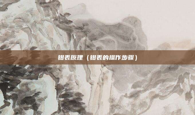 钳表原理(钳表的操作步骤)