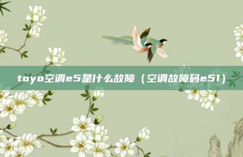 toyo空调e5是什么故障（空调故障码e51）