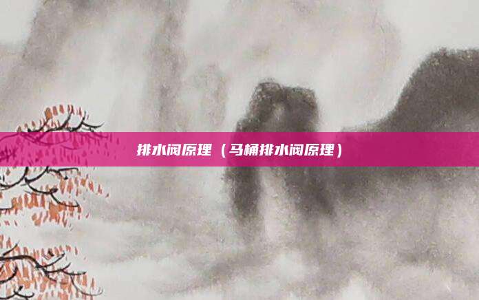 排水阀原理(马桶排水阀原理)