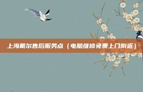上海戴尔售后服务点(电脑维修免费上门附近)