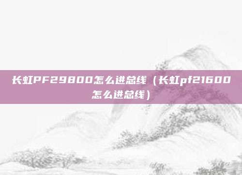 长虹PF29800怎么进总线（长虹pf21600怎么进总线）