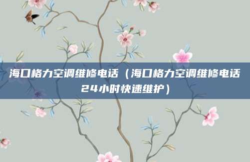 海口格力空调维修电话(海口格力空调维修电话24小时快速维护)
