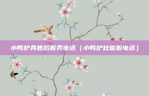 小鸭炉具售后服务电话(小鸭炉灶客服电话)