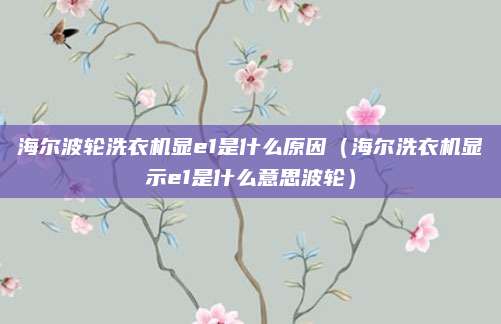 海尔波轮洗衣机显e1是什么原因（海尔洗衣机显示e1是什么意思波轮）