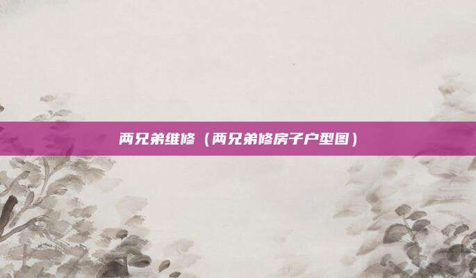 两兄弟维修(两兄弟修房子户型图)