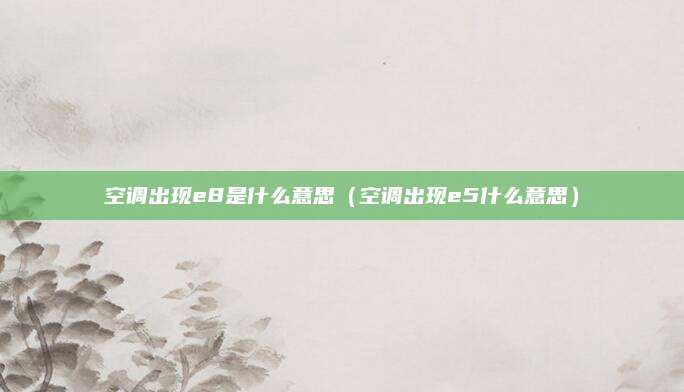 空调出现e8是什么意思（空调出现e5什么意思）