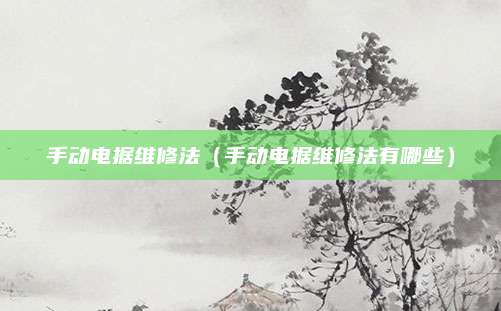手动电据维修法(手动电据维修法有哪些)