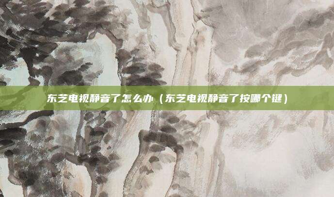 东芝电视静音了怎么办(东芝电视静音了按哪个键)