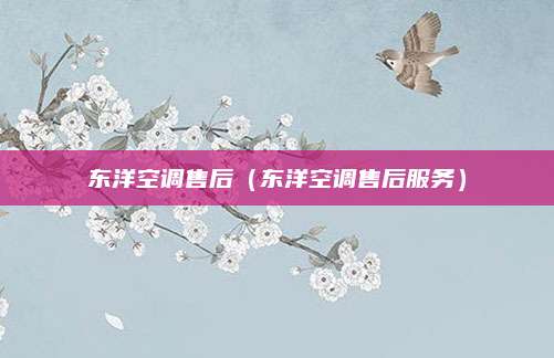 东洋空调售后(东洋空调售后服务)