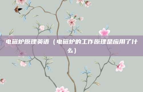 电磁炉原理英语(电磁炉的工作原理是应用了什么)