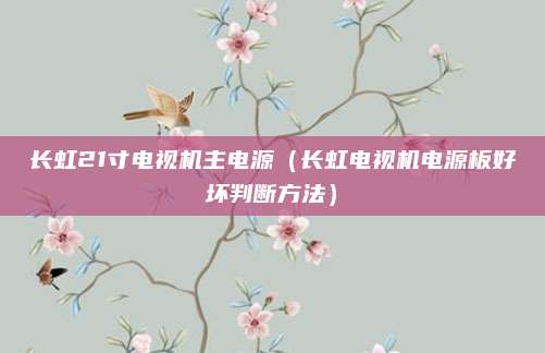 长虹21寸电视机主电源(长虹电视机电源板好坏判断方法)