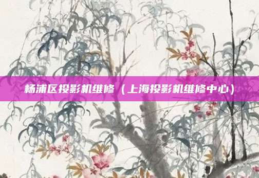 杨浦区投影机维修（上海投影机维修中心）