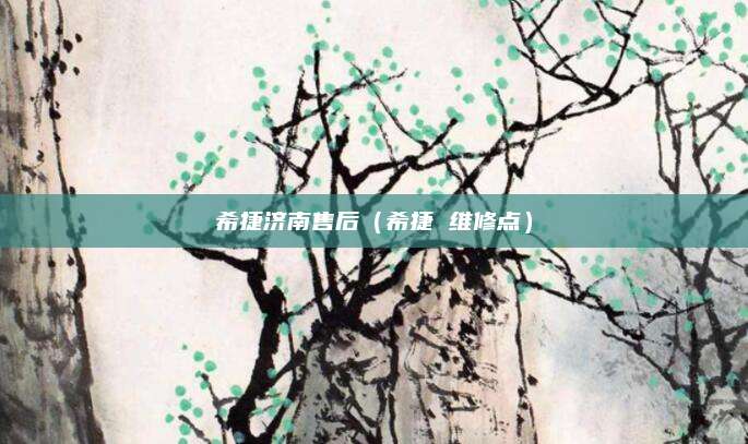 希捷济南售后（希捷 维修点）