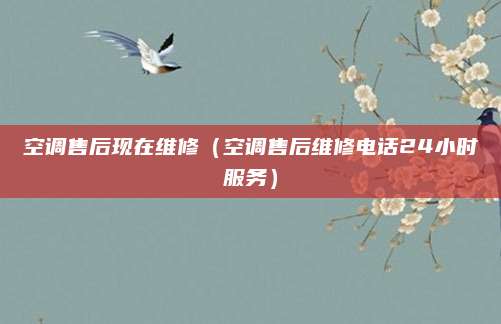 空调售后现在维修(空调售后维修电话24小时服务)