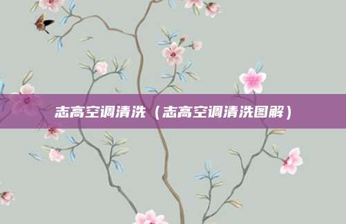志高空调清洗（志高空调清洗图解）