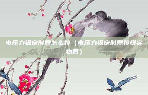 电压力锅定时器怎么接(电压力锅定时器接线实物图)