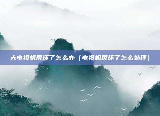 大电视机屏坏了怎么办（电视机屏坏了怎么处理）