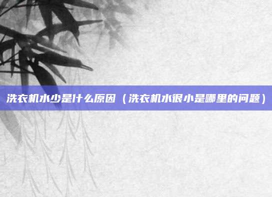洗衣机水少是什么原因(洗衣机水很小是哪里的问题)
